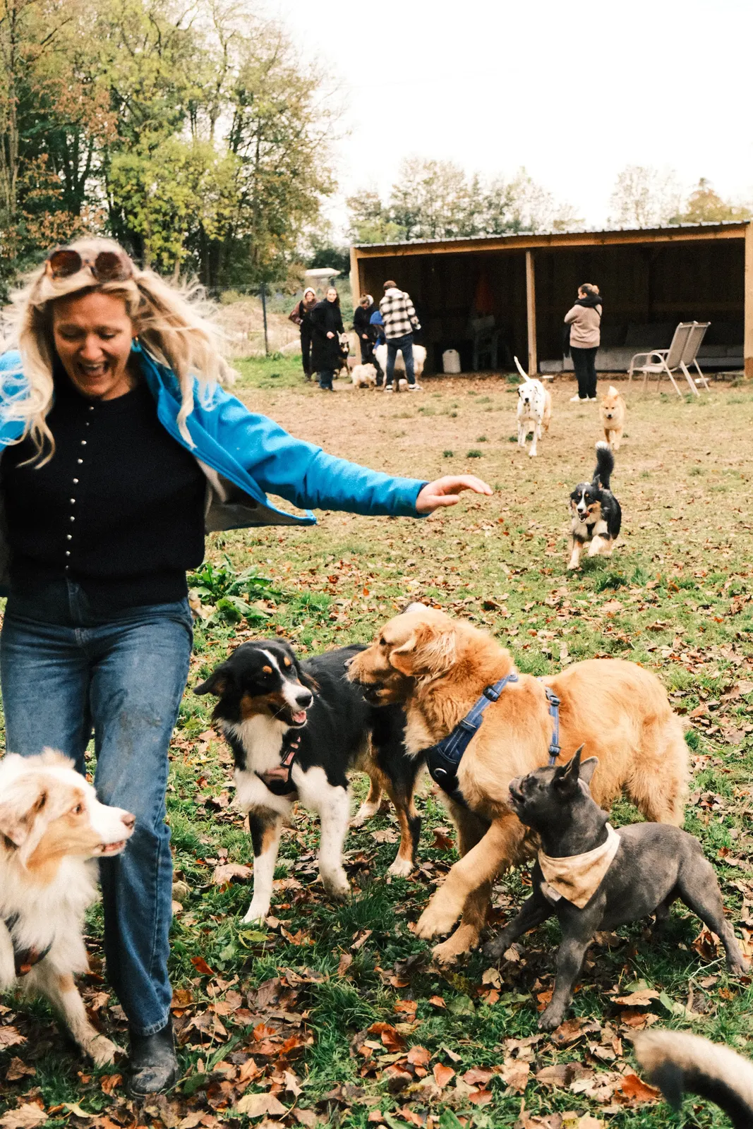 Des chiens heureux de retrouver régulièrement leurs copains