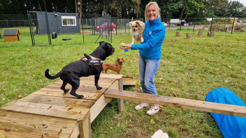 Émeline au parc de Joucky & Cie avec les chiens